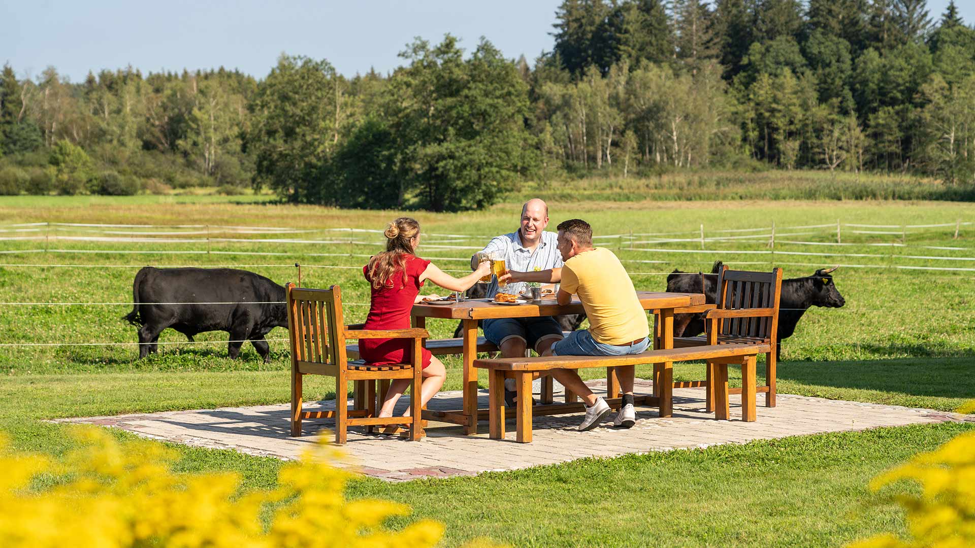 05_hagerhof-chiemsee_header_feld