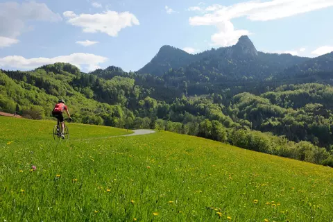 01_hagerhof-chiemsee_radfahren