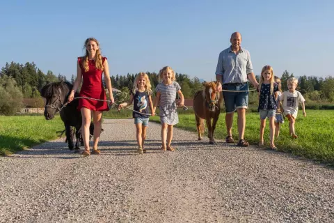 28_hagerhof-chiemsee_bauernhof_erleben-katze