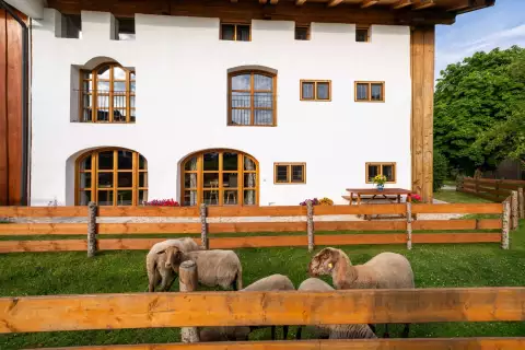 16_hagerhof-chiemsee_toepferei-schafe-aussen