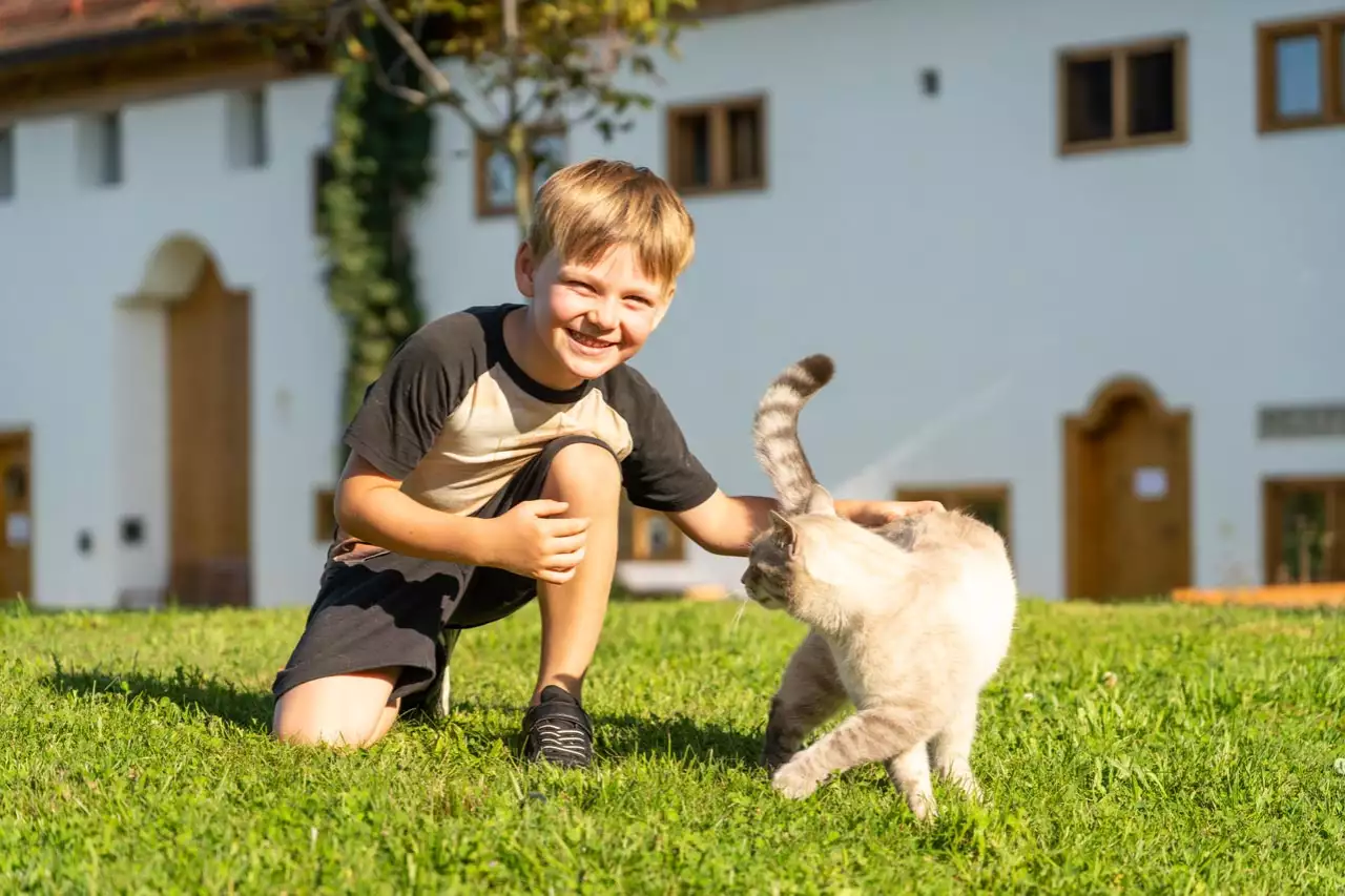Gemeinsame Erinnerungen schaffen