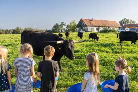 04_hagerhof-chiemsee_mitarbeit-hof