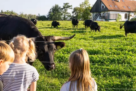 04_hagerhof-chiemsee_kinder-tiere