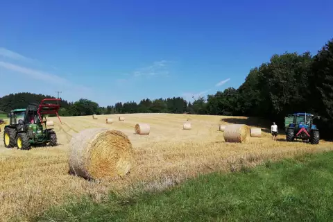 03_hagerhof-chiemsee_feldarbeit