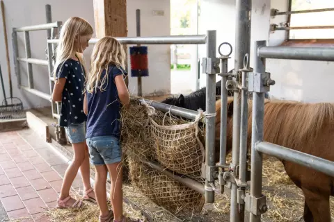 14_hagerhof-chiemsee_mitarbeit-hof