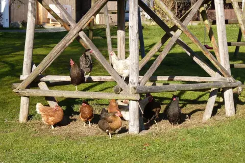 12_hagerhof-chiemsee_kinder-tiere