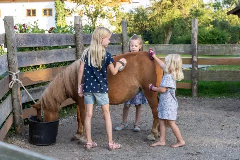 29_hagerhof-chiemsee_bauernhof_erleben-katze