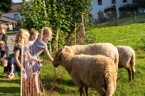 23_hagerhof-chiemsee_bauernhof_erleben