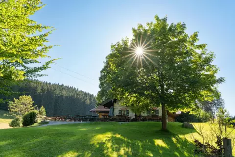 03_hagerhof-chiemsee_wandern