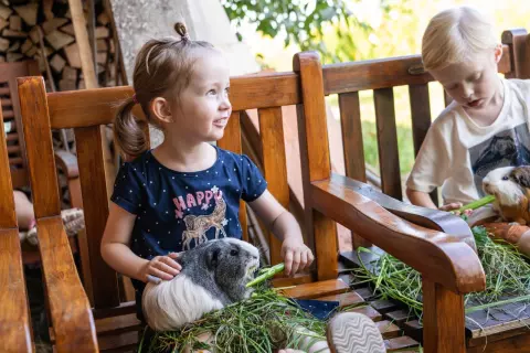 02_hagerhof-chiemsee_kinder-tiere