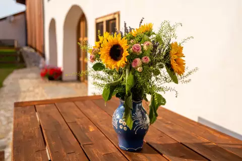 15_hagerhof-chiemsee_toepferei_schafe-aussen