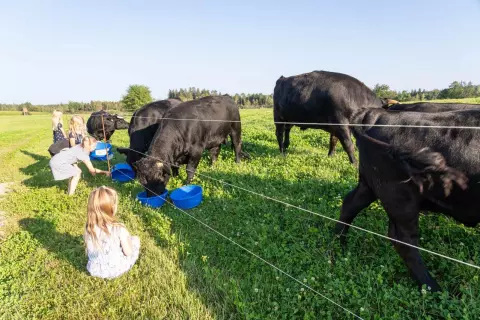 08_hagerhof-chiemsee_kinder-tiere