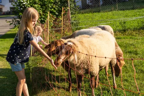 06_hagerhof-chiemsee_kinder-tiere