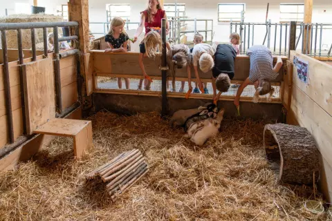 10_hagerhof-chiemsee-bauernhof_erleben