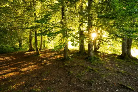 03_hagerhof-chiemsee_langbuergner-see