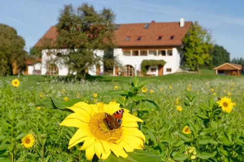 00_hagerhof-chiemsee_haus