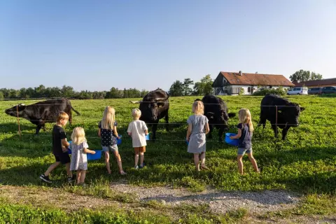 25_hagerhof-chiemsee_bauernhof_erleben