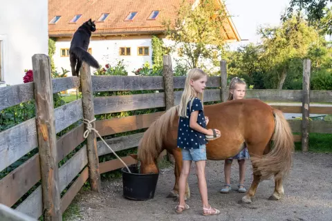 05_hagerhof-chiemsee_mitarbeit-hof