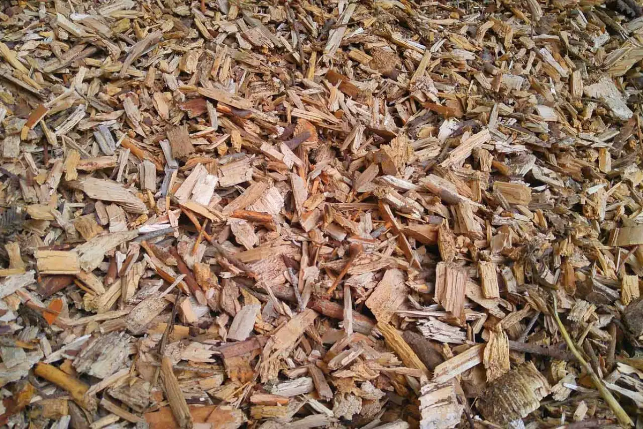 Hackschnitzelheizung spart Energie