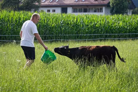 12_hagerhof-chiemsee_mitarbeit-hof