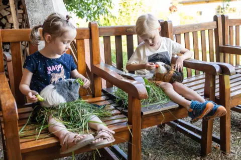17_hagerhof-chiemsee_bauernhof_erleben