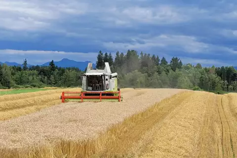 01_hagerhof-chiemsee_maehdrescher