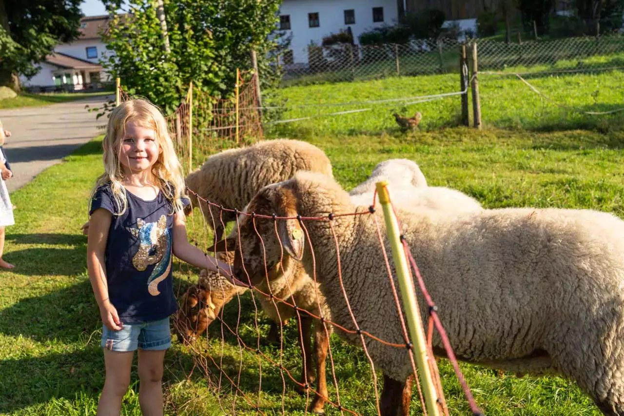 Hagerhof Hofprogramm