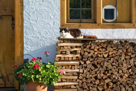 20_hagerhof-chiemsee_bauernhof_erleben