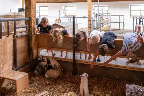 03_hagerhof-chiemsee_kinder-tiere