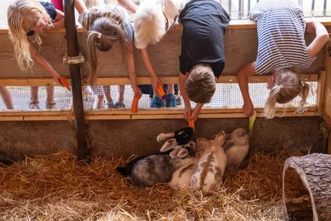 07_hagerhof-chiemsee_kinder-tiere