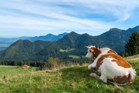 01_hagerhof-chiemsee_wandern