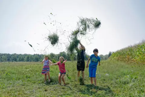 02_hagerhof-chiemsee_kinder-heu