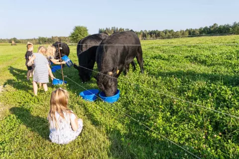 26_hagerhof-chiemsee_bauernhof_erleben