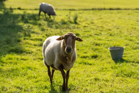 21_hagerhof-chiemsee_bauernhof_erleben