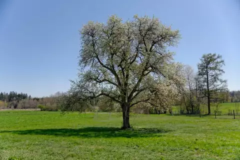 22_hagerhof-chiemsee_sattlerei