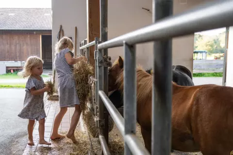 01_hagerhof-chiemsee_mitarbeit-hof